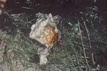 https://ti.nemaelita.com/files/gimgs/th-14_044-scan0005.jpg