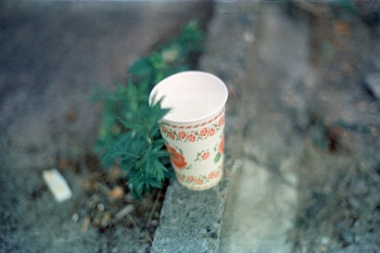 https://ti.nemaelita.com/files/gimgs/th-14_201-scan0020.jpg