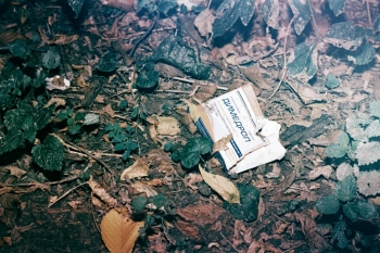 https://ti.nemaelita.com/files/gimgs/th-14_206-scan0007.jpg