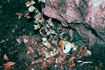 https://ti.nemaelita.com/files/gimgs/th-14_209-scan0013.jpg