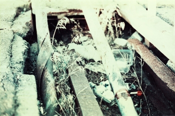 https://ti.nemaelita.com/files/gimgs/th-14_212-scan0015.jpg