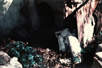 https://ti.nemaelita.com/files/gimgs/th-14_217-scan0022.jpg