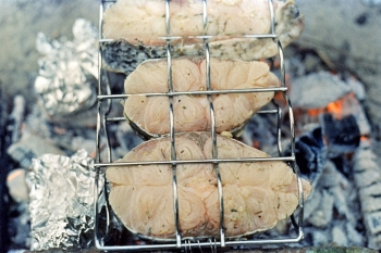 https://ti.nemaelita.com/files/gimgs/th-14_253-scan0002.jpg