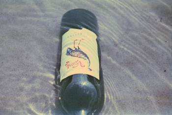 https://ti.nemaelita.com/files/gimgs/th-14_316-scan0003.jpg