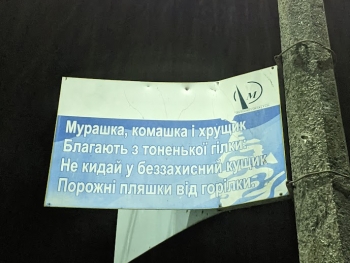 https://ti.nemaelita.com/files/gimgs/th-26_00154.jpg