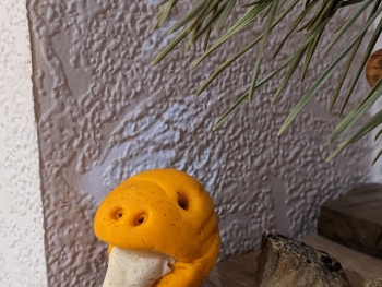 https://ti.nemaelita.com/files/gimgs/th-26_00207.jpg