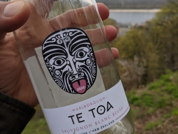 https://ti.nemaelita.com/files/gimgs/th-26_00272.jpg