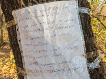 https://ti.nemaelita.com/files/gimgs/th-26_00316.jpg