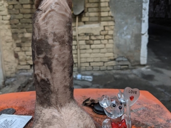 https://ti.nemaelita.com/files/gimgs/th-26_00358.jpg