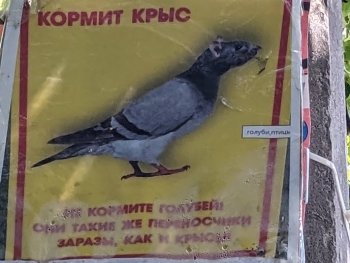 https://ti.nemaelita.com/files/gimgs/th-26_00369.jpg