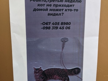 https://ti.nemaelita.com/files/gimgs/th-26_00400.jpg