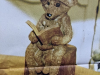 https://ti.nemaelita.com/files/gimgs/th-26_00490.jpg