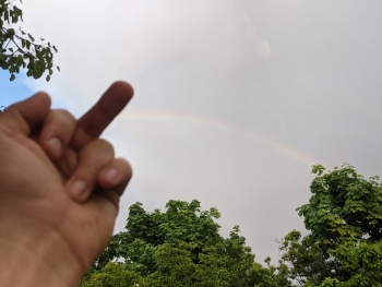 https://ti.nemaelita.com/files/gimgs/th-26_00503.jpg