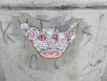 https://ti.nemaelita.com/files/gimgs/th-26_00528.jpg