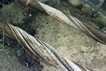 https://ti.nemaelita.com/files/gimgs/th-4_scan00111.jpg