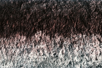 https://ti.nemaelita.com/files/gimgs/th-4_scan0015.jpg