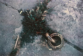 https://ti.nemaelita.com/files/gimgs/th-4_scan00281.jpg