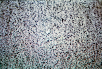 https://ti.nemaelita.com/files/gimgs/th-5_DS140329144638.jpg