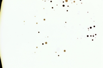 https://ti.nemaelita.com/files/gimgs/th-6_scan00003.jpg