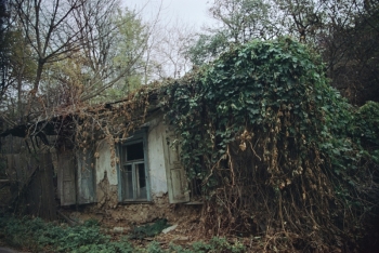 https://ti.nemaelita.com/files/gimgs/th-6_scan00311_v2.jpg