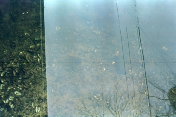 https://ti.nemaelita.com/files/gimgs/th-8_002-scan0009.jpg