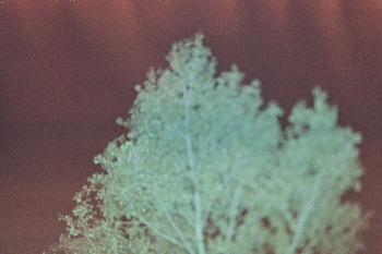 https://ti.nemaelita.com/files/gimgs/th-8_027-scan0022.jpg