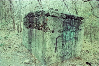 https://ti.nemaelita.com/files/gimgs/th-8_035-scan0032.jpg
