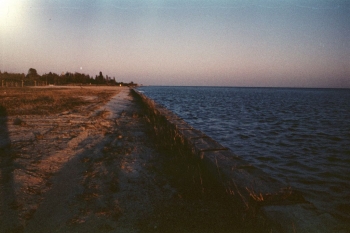 https://ti.nemaelita.com/files/gimgs/th-8_081-scan0027.jpg