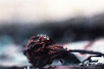 https://ti.nemaelita.com/files/gimgs/th-8_105-scan0029.jpg
