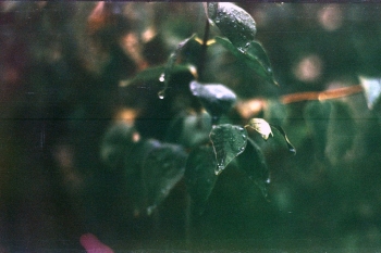 https://ti.nemaelita.com/files/gimgs/th-8_145-scan0024.jpg