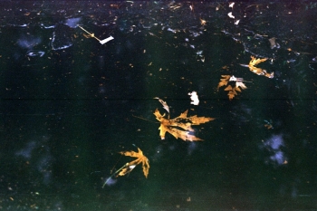 https://ti.nemaelita.com/files/gimgs/th-8_146-scan0023.jpg