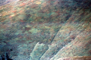 https://ti.nemaelita.com/files/gimgs/th-8_156-scan0023.jpg