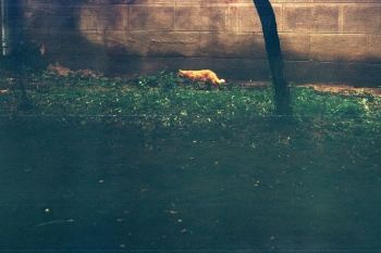 https://ti.nemaelita.com/files/gimgs/th-8_158-scan0005.jpg