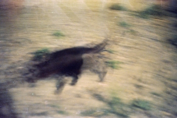 https://ti.nemaelita.com/files/gimgs/th-8_161-scan0023.jpg