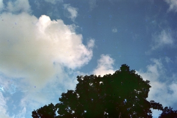 https://ti.nemaelita.com/files/gimgs/th-8_169-scan0029.jpg