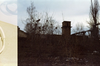 https://ti.nemaelita.com/files/gimgs/th-8_291-scan0009.jpg