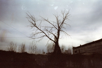 https://ti.nemaelita.com/files/gimgs/th-8_293-scan0016.jpg