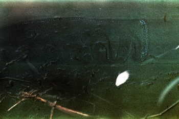 https://ti.nemaelita.com/files/gimgs/th-9_066-scan0031.jpg