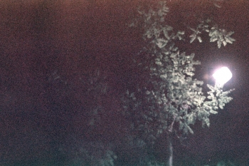 https://ti.nemaelita.com/files/gimgs/th-9_085-scan0001.jpg