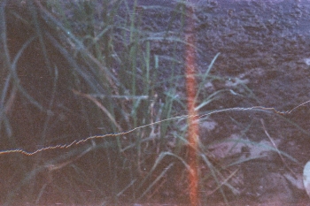 https://ti.nemaelita.com/files/gimgs/th-9_163-scan0000.jpg