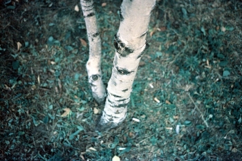 https://ti.nemaelita.com/files/gimgs/th-9_173-scan0008.jpg