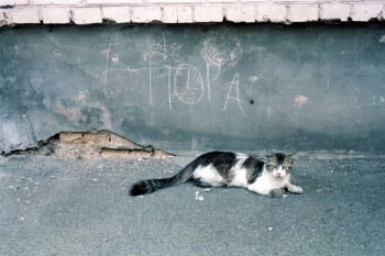 https://ti.nemaelita.com/files/gimgs/th-9_185-scan0021.jpg