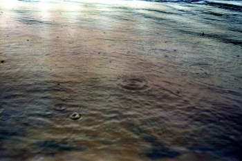 https://ti.nemaelita.com/files/gimgs/th-9_197-scan0017.jpg